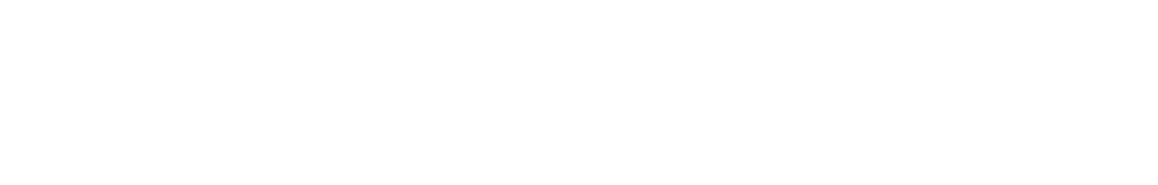 サイバーモルック – Cyber MOLKKY